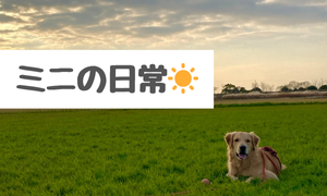 日常の様子☀️