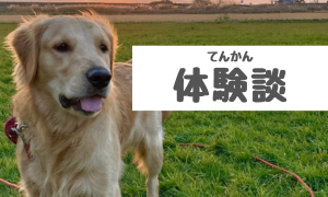 てんかん【体験談】