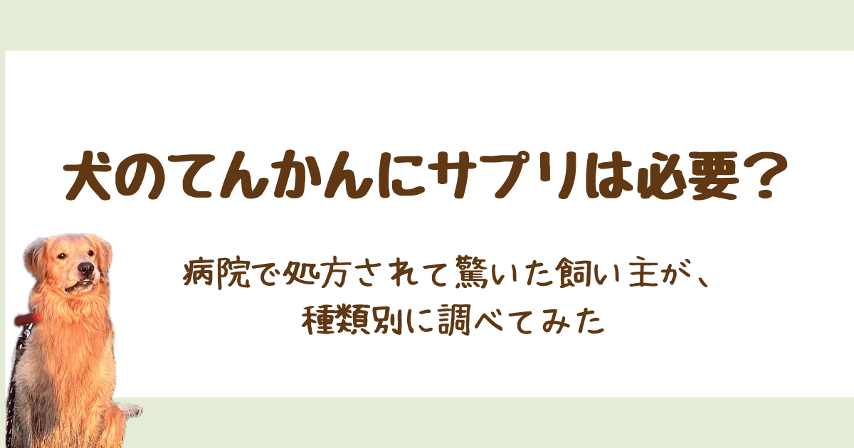 犬のてんかんにサプリは必要？