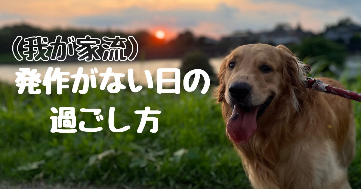 (我が家流）発作がない日の過ごし方