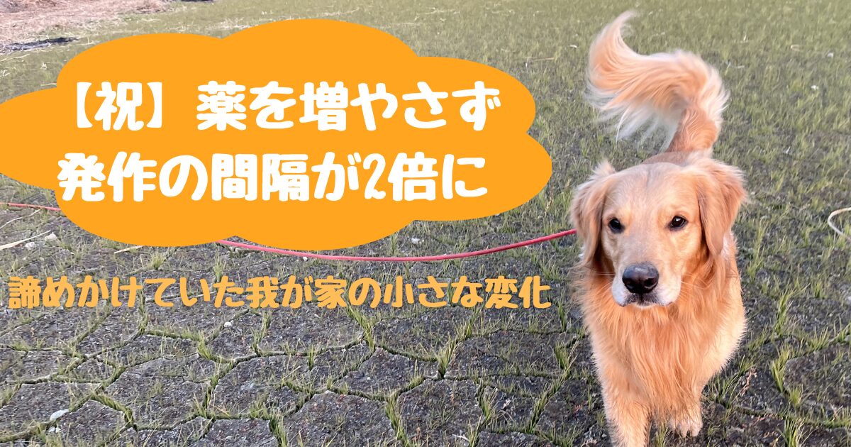 【祝】薬を増やさず発作の間隔が2倍に