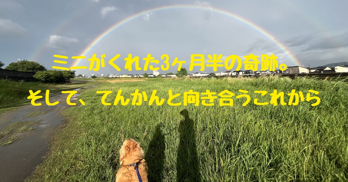 ミニがくれた３ヶ月半の奇跡。そして、てんかんと向き合うこれから